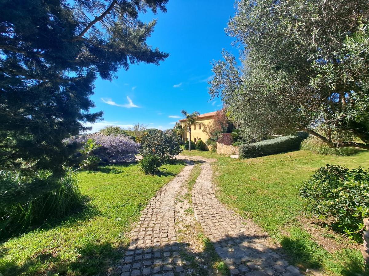 Rez De Jardin Villa Presqu'Ile De Giens Hyeres Exterior photo